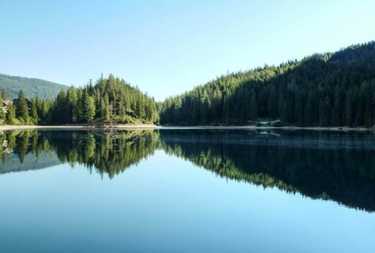 6 Best Largemouth Bass Fishing Spots In Washington State